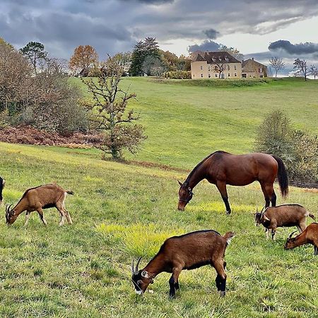 Domaine De Cazal - Gite 2 Pers Avec Piscine Au Coeur De 26 Hectares De Nature Preservee Villa Saint-Cyprien  Exterior foto