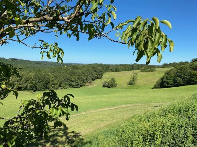 Domaine De Cazal - Gite 2 Pers Avec Piscine Au Coeur De 26 Hectares De Nature Preservee Villa Saint-Cyprien  Exterior foto